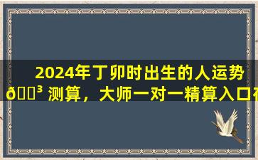 2024年丁卯时出生的人运势 🌳 测算，大师一对一精算入口在哪